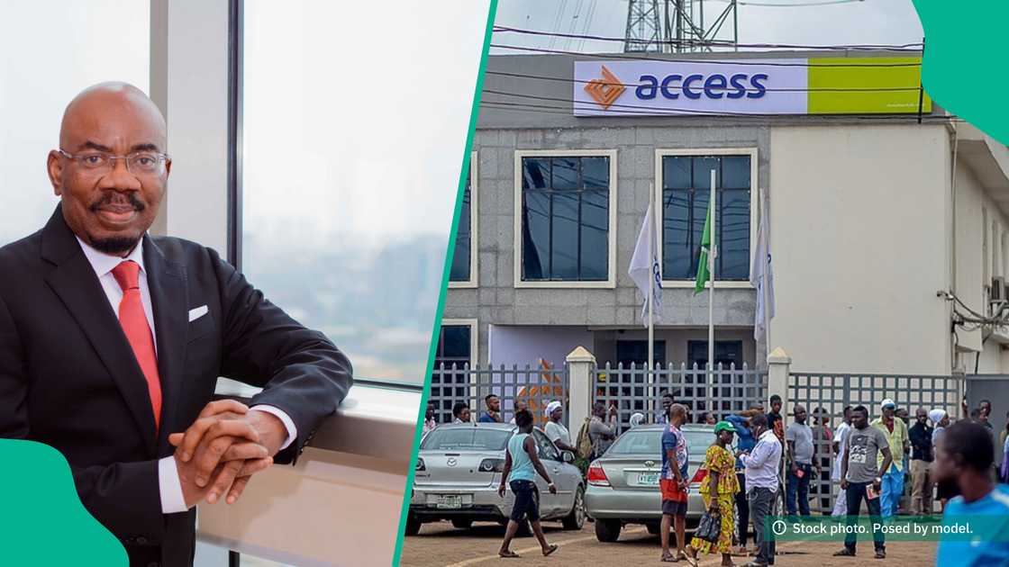 Access Holdings reports increase in earning