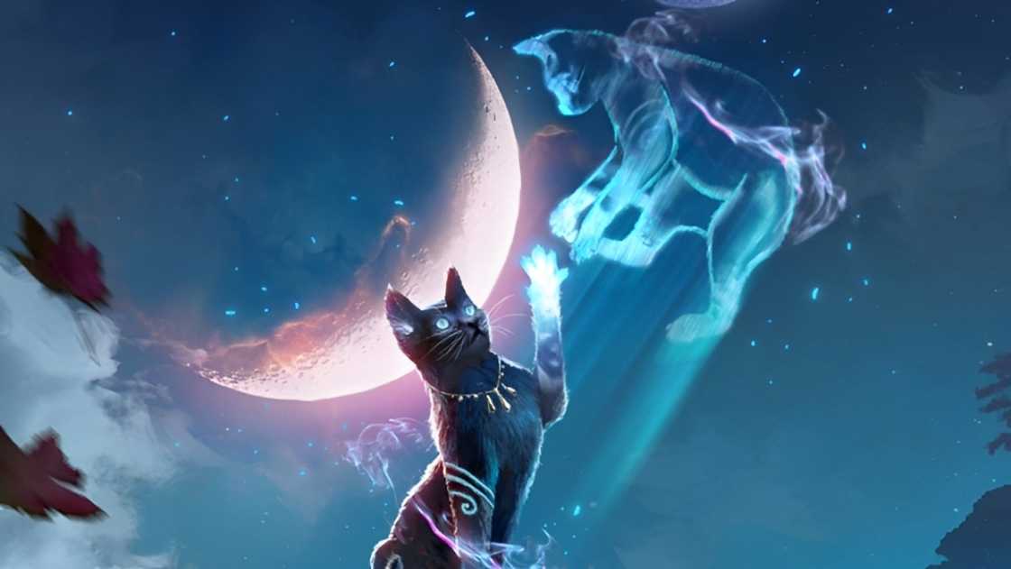 An illustration of a simple illusion, showing a potential education path for a student of the School of Illusion An illustration of a simple illusion, showing a potential education path for a student of the School of Illusion