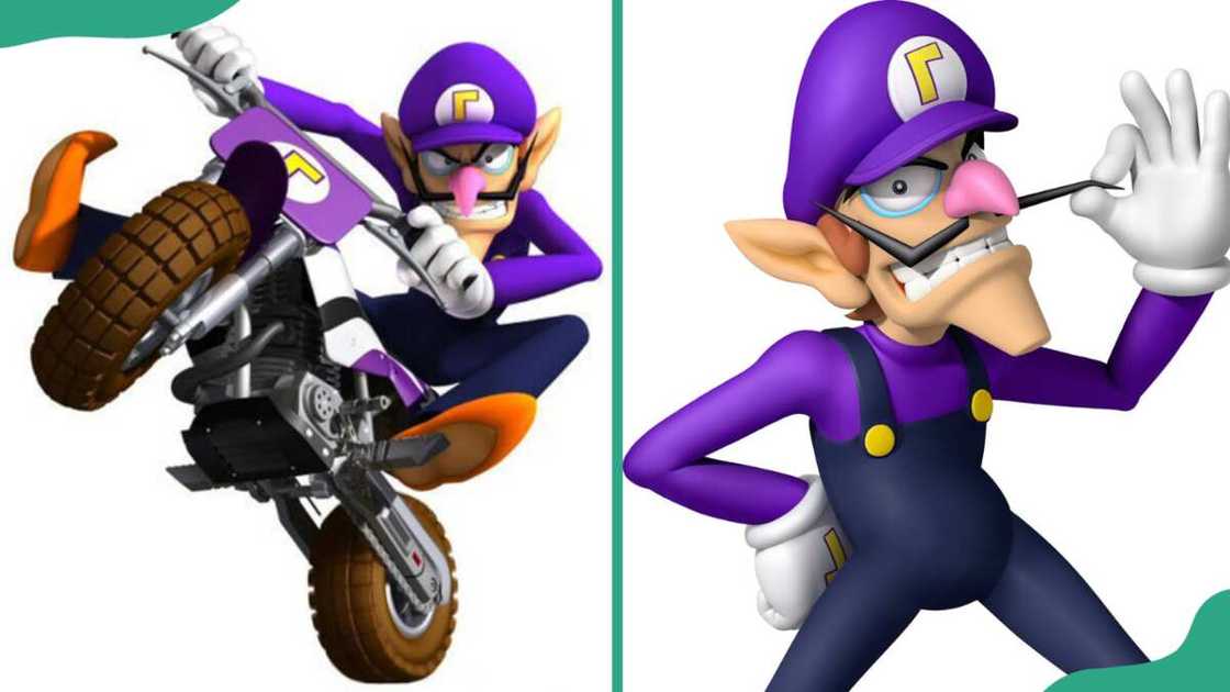 Waluigi from the video game series Mario Waluigi from the video game series Mario