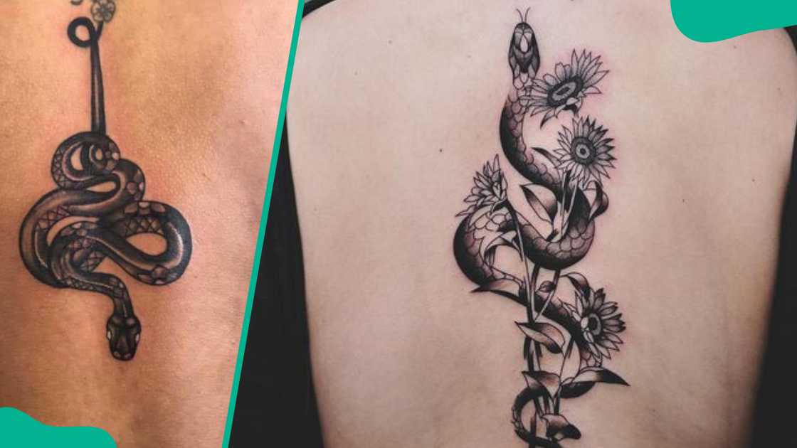 Snake spine tattoo Snake spine tattoo