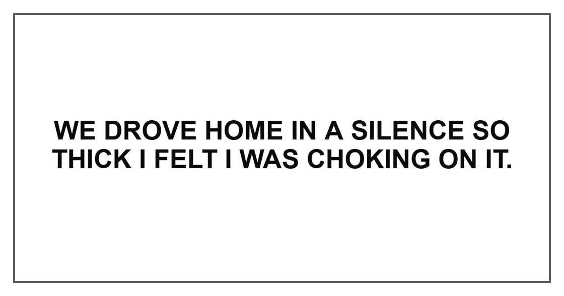 We drove home in a silence so thick I felt I was choking on it.