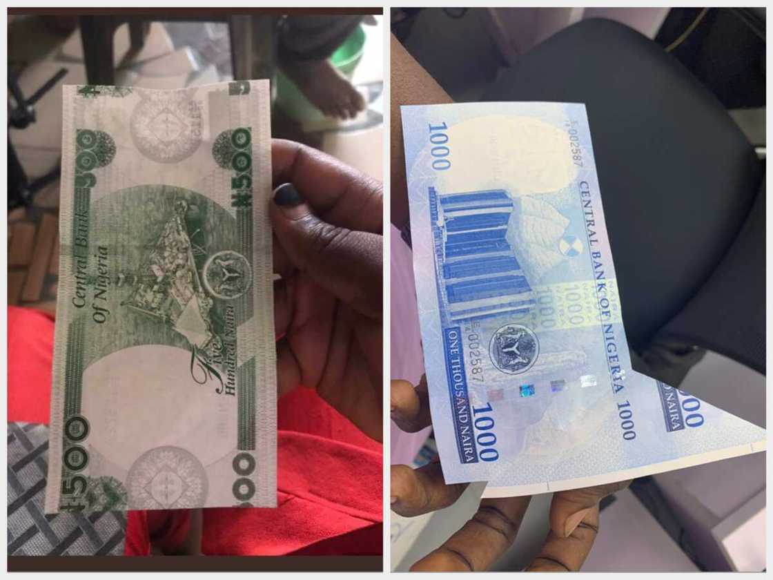 CBN new naira notes CBN new naira notes