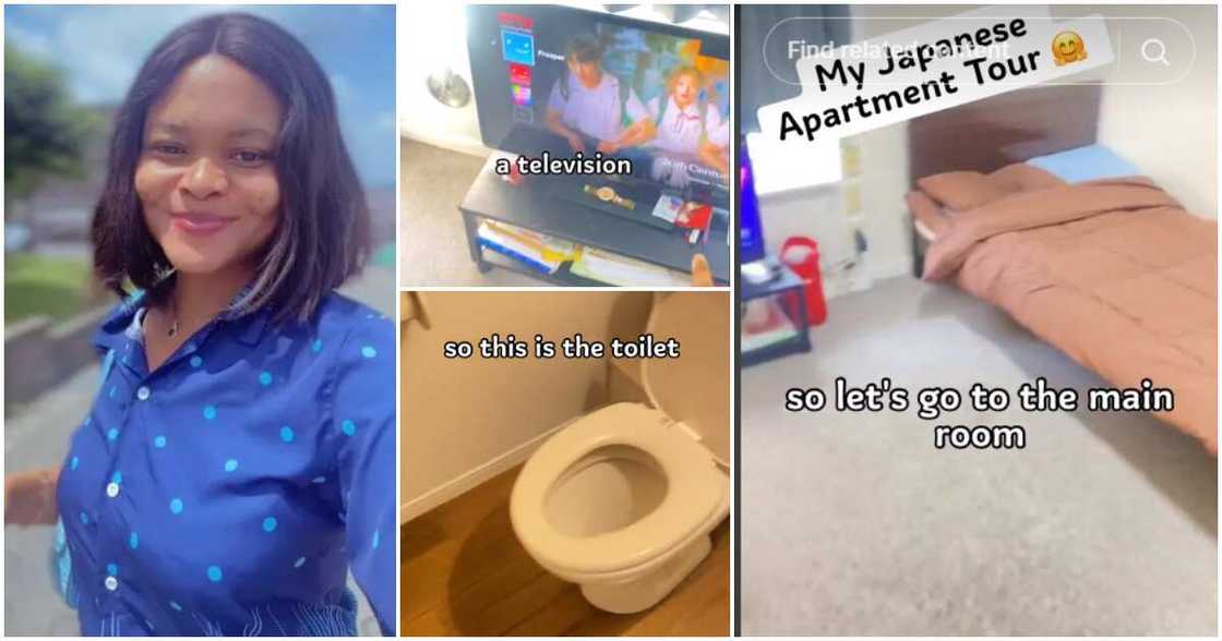 Bed frame, TV, Japanese apartment Bed frame, TV, Japanese apartment