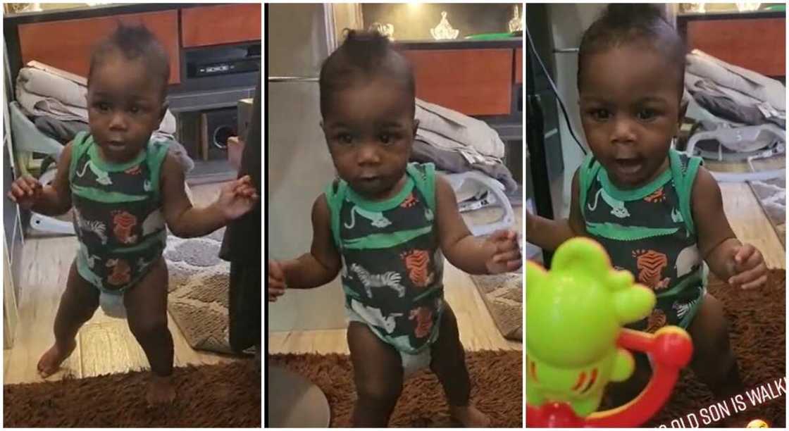 Photos of a 6-months-old baby who is already walking. Photos of a 6-months-old baby who is already walking.