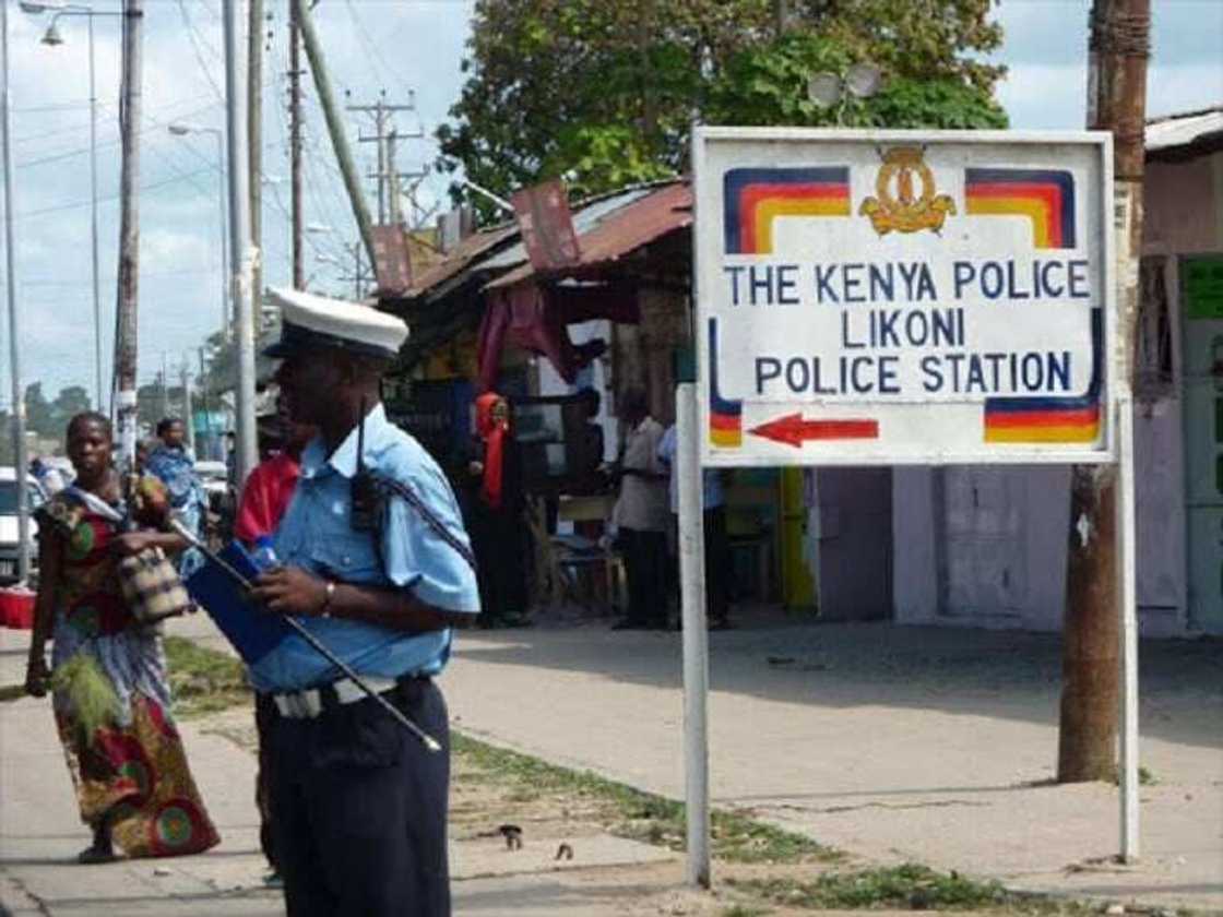 Mombasa police officers arrest man smuggling 10kg python Mombasa police officers arrest man smuggling 10kg python