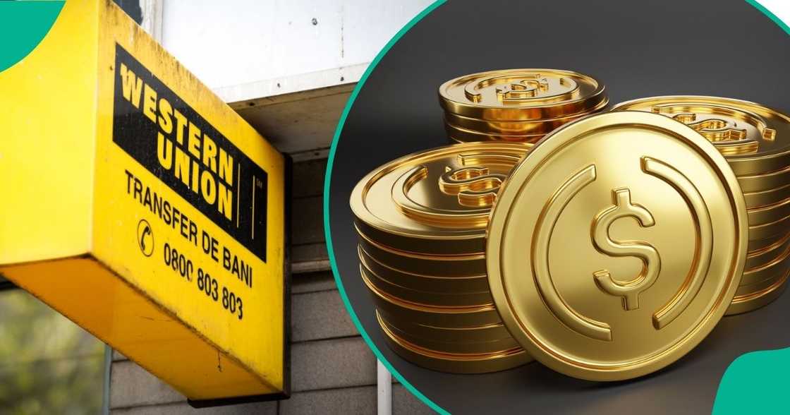 Western Union, Stablecoin, CBN stablecoin study team Western Union, Stablecoin, CBN stablecoin study team