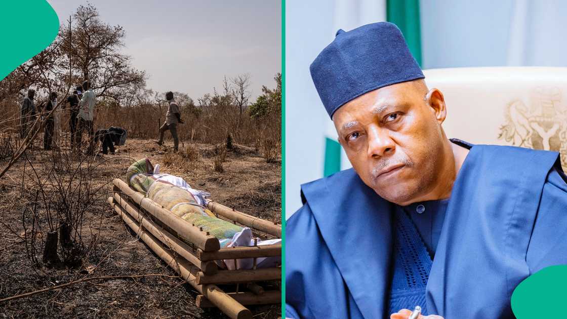 Mataimakin shugaban kasa Kashim Shettima Mataimakin shugaban kasa Kashim Shettima