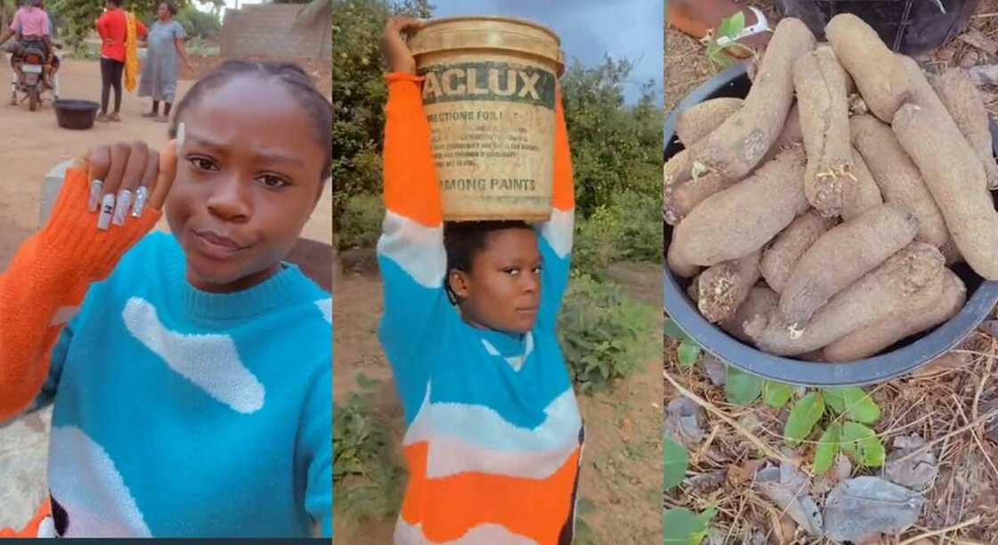 Photos of a Nigerian lad who went to the farm.