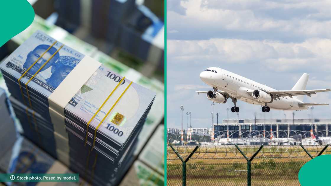 Graduate seeks advice on whether to choose N100m for business or relocate to the US. Graduate seeks advice on whether to choose N100m for business or relocate to the US.