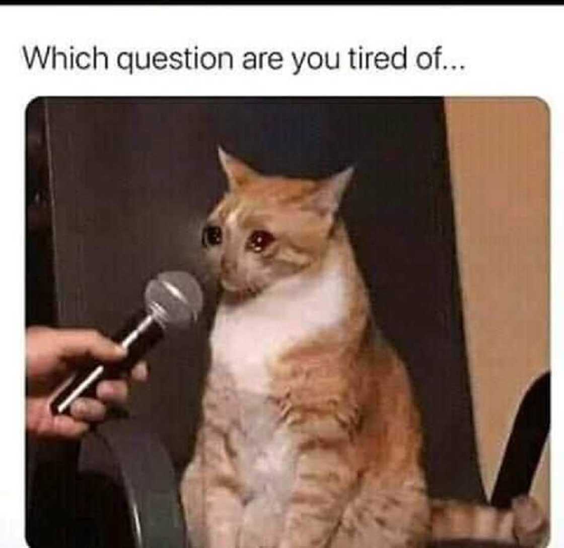 30+ relatable tired meme ideas to exchange with your coworkers 30+ relatable tired meme ideas to exchange with your coworkers