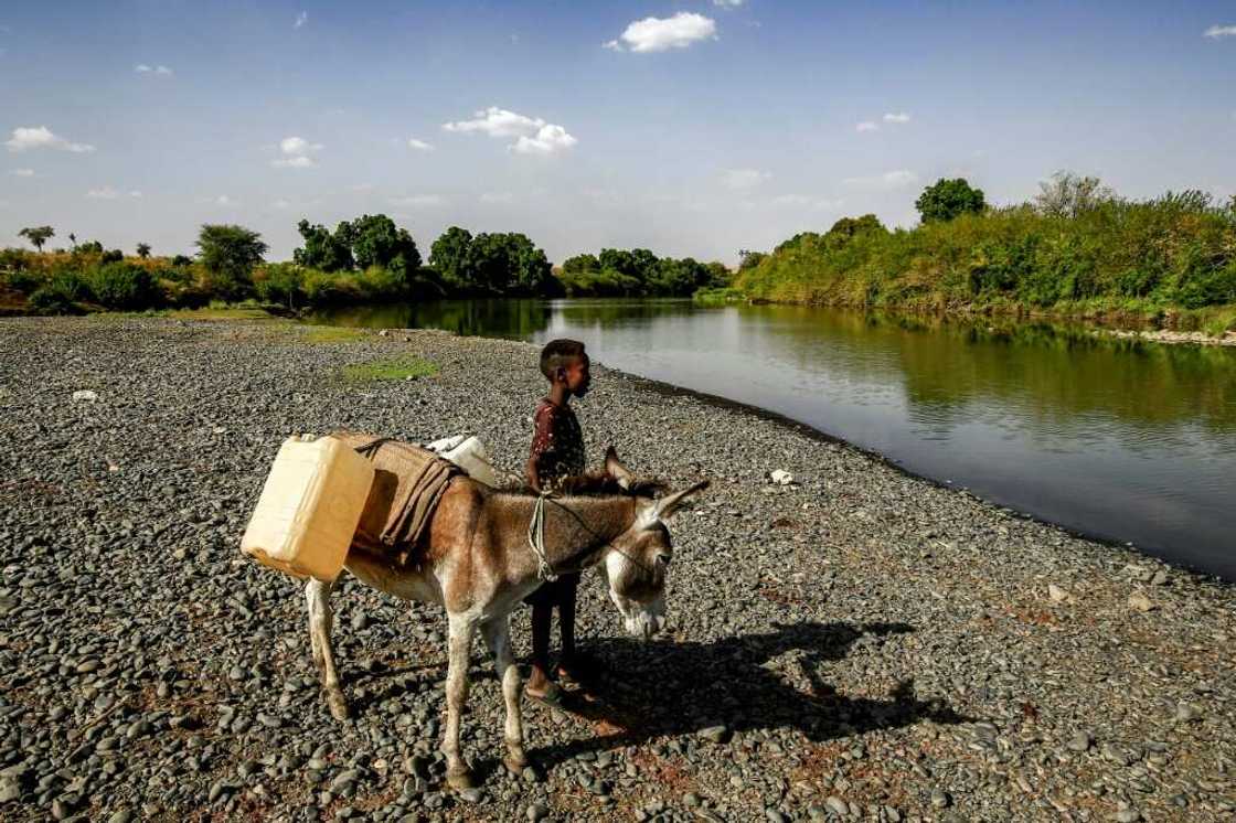 Sudan and Ethiopia have long been at odds over the fertile farmland region of Al-Fashaqa Sudan and Ethiopia have long been at odds over the fertile farmland region of Al-Fashaqa