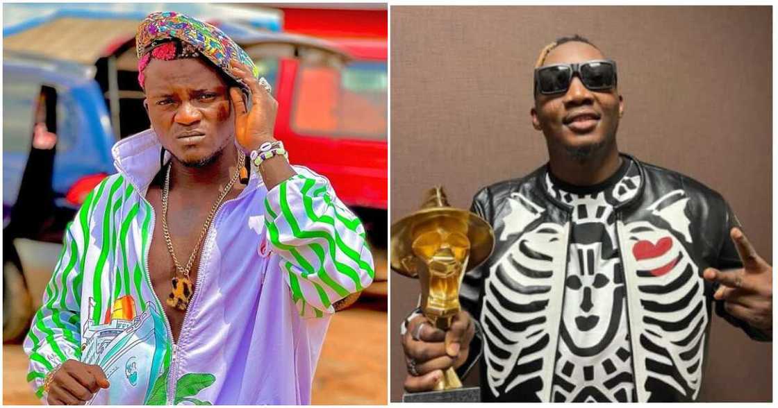 Portable zazu, Goya Menor, education Portable zazu, Goya Menor, education