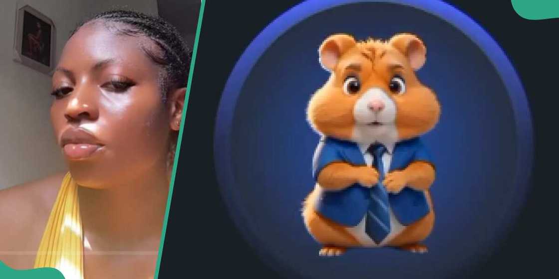 Lady shares mistake people mining Hamster Kombat should avoid Lady shares mistake people mining Hamster Kombat should avoid
