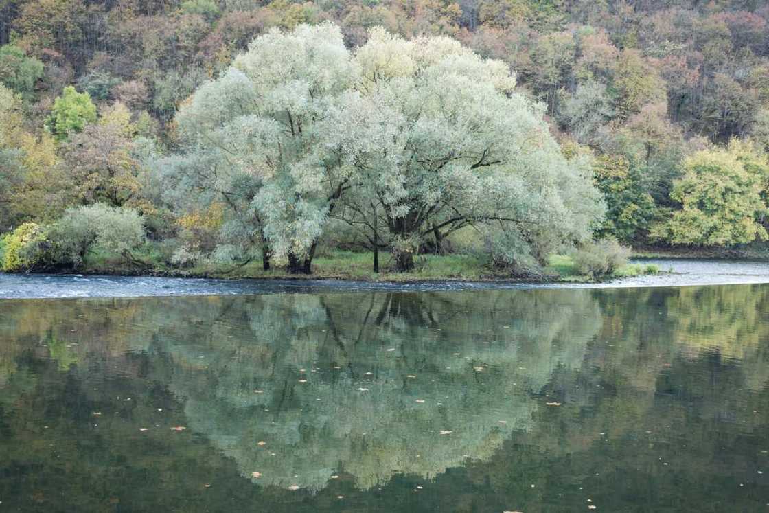 Rare colours in the world Rare colours in the world