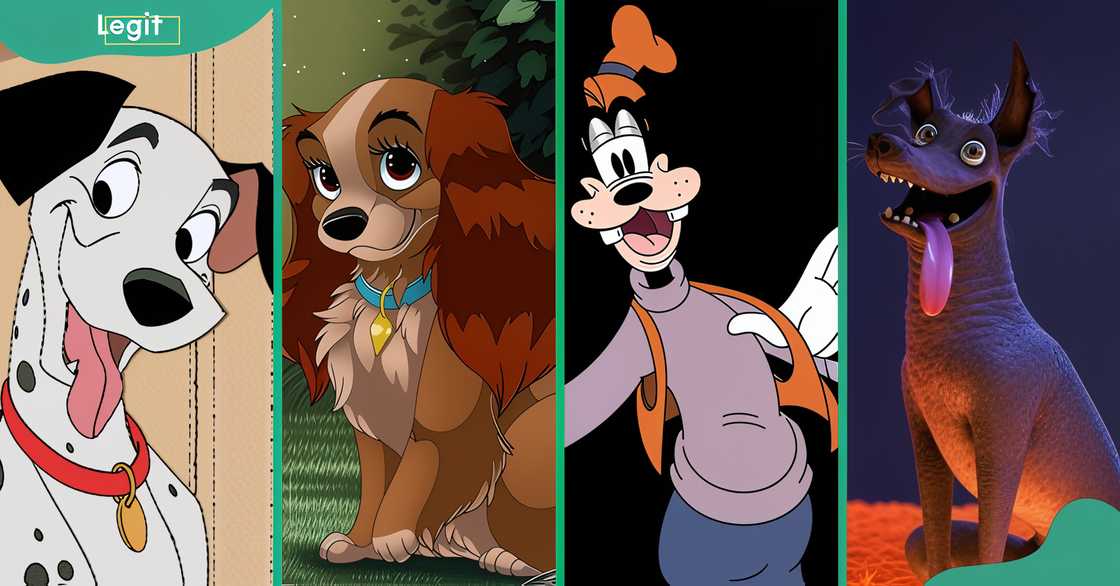 Some of the most iconic Disney dogs; Pongo, Lady, Pluto, and Dante. Some of the most iconic Disney dogs; Pongo, Lady, Pluto, and Dante.
