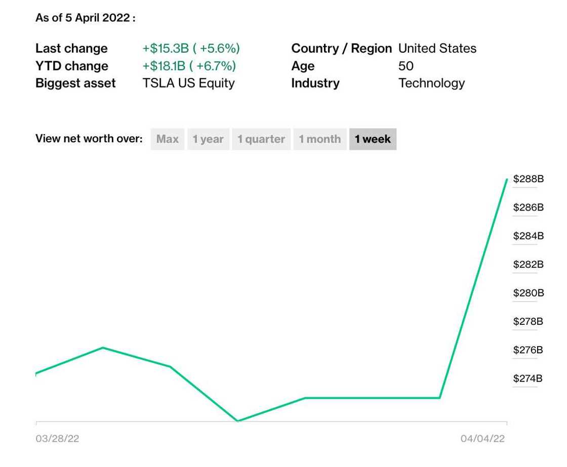 Elon Musk, Twitter, Bloomberg, Billonaires Elon Musk, Twitter, Bloomberg, Billonaires