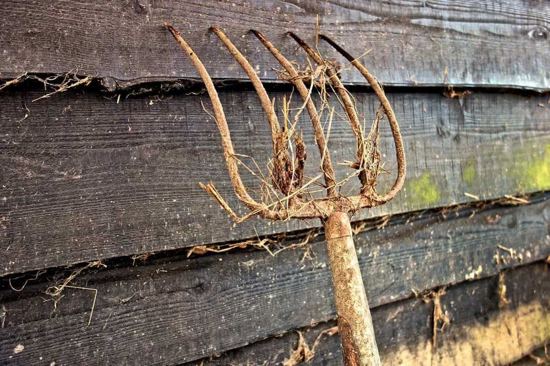 farm implements farm implements