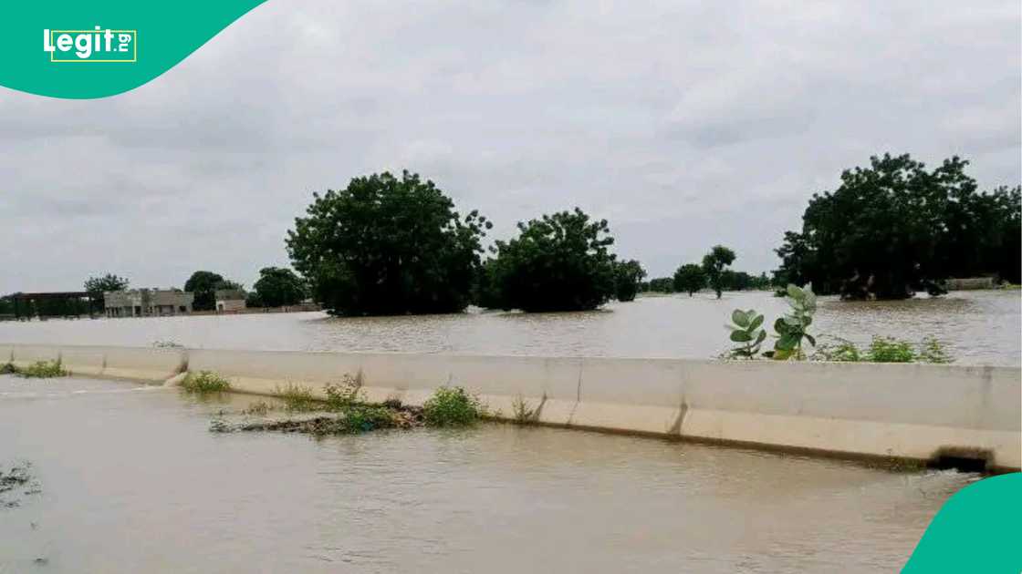Roads are blocked, communication infrastructure damaged due to the flood. Roads are blocked, communication infrastructure damaged due to the flood.
