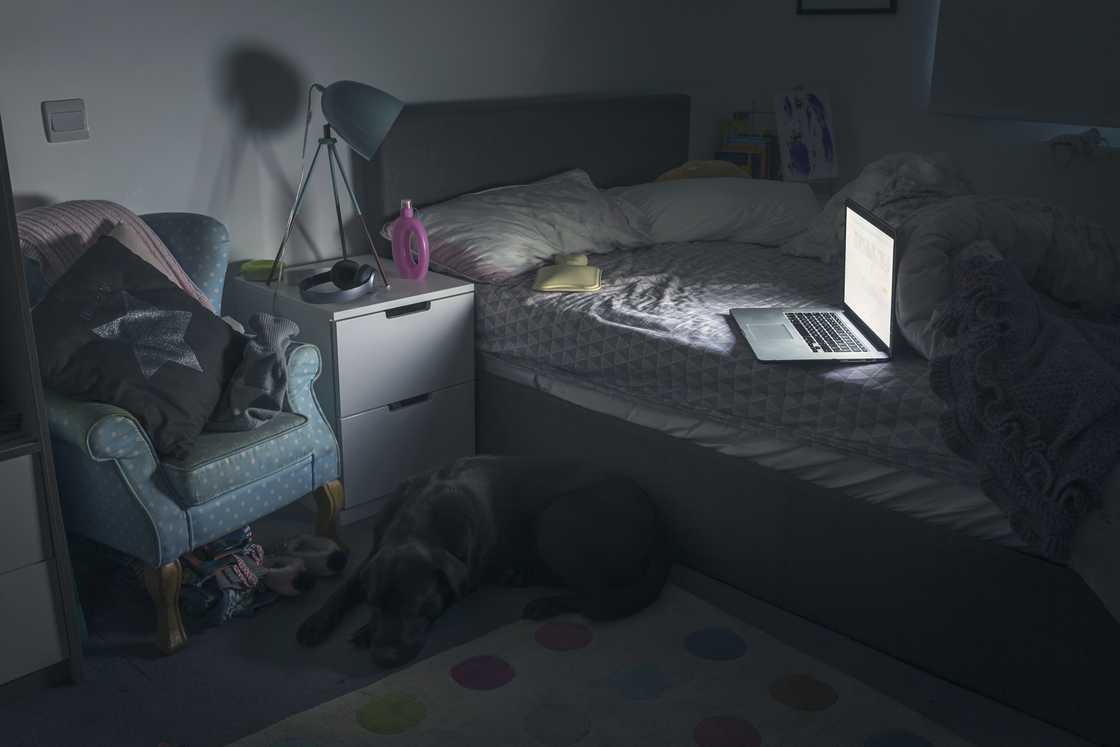 Dimly lit bedroom with an open laptop on a bed and a dog resting on the floor. Dimly lit bedroom with an open laptop on a bed and a dog resting on the floor.