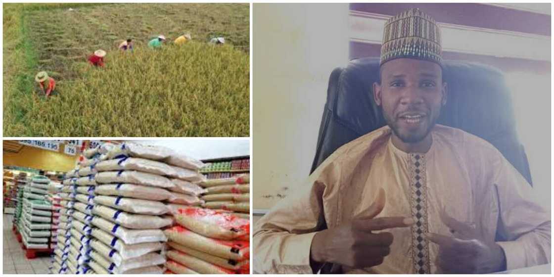 Mohammed Adamu Mohammed: Nigerian man who started rice company with just N20k makes it big Mohammed Adamu Mohammed: Nigerian man who started rice company with just N20k makes it big