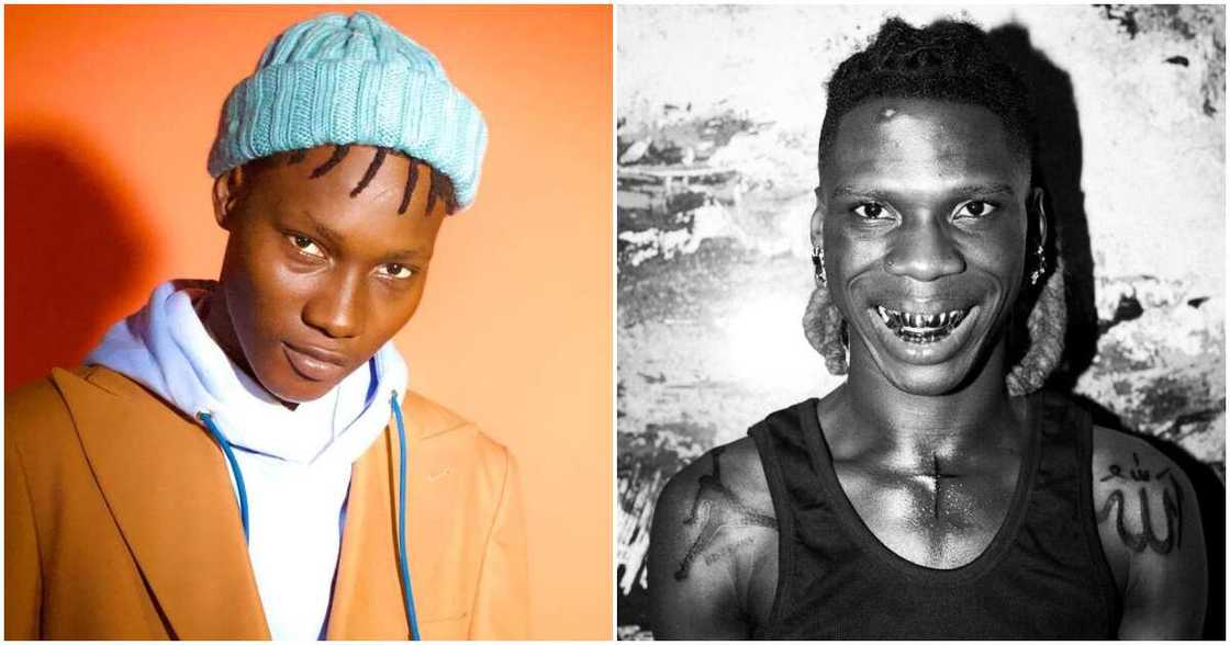 Seyi Vibez, Zinoleesky Seyi Vibez, Zinoleesky
