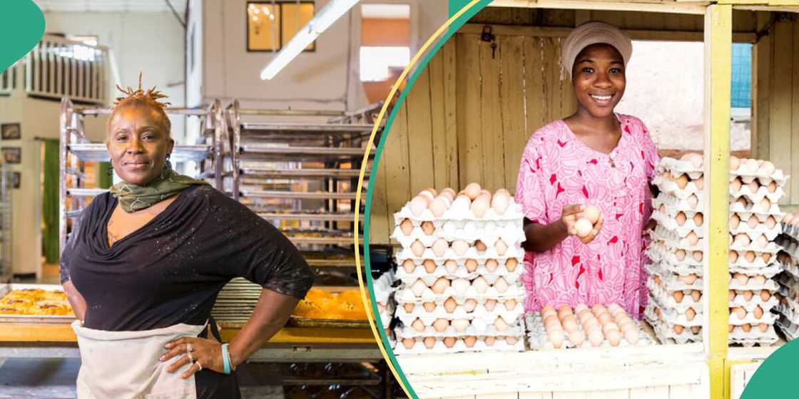 non oil export non oil export