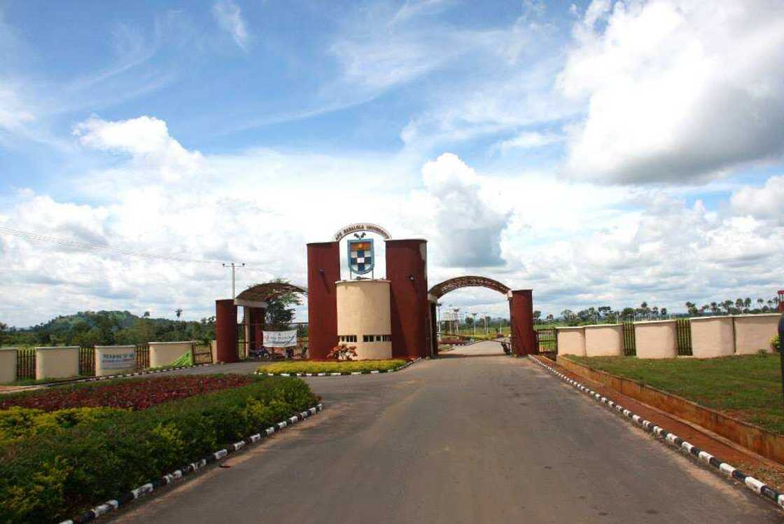 How can I check my admission status in Abuad? How can I check my admission status in Abuad?