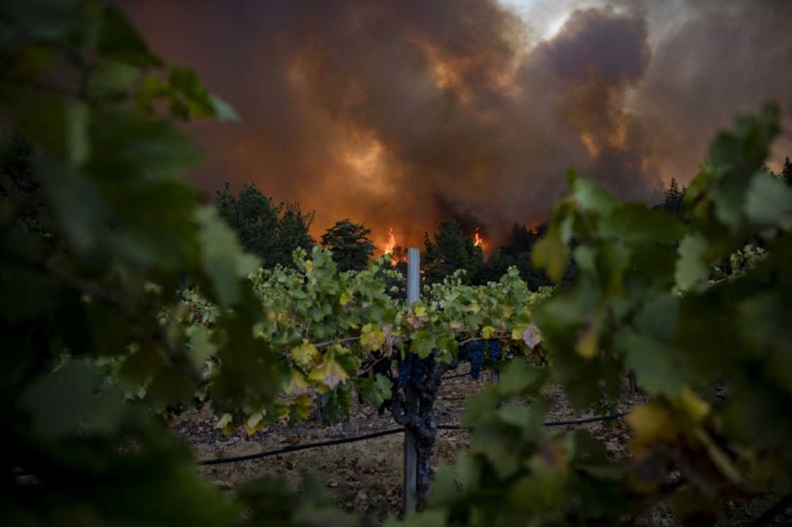 Climate chaos is hurting global wine production, such as this September 2020 fire in California's Napa Valley Climate chaos is hurting global wine production, such as this September 2020 fire in California's Napa Valley