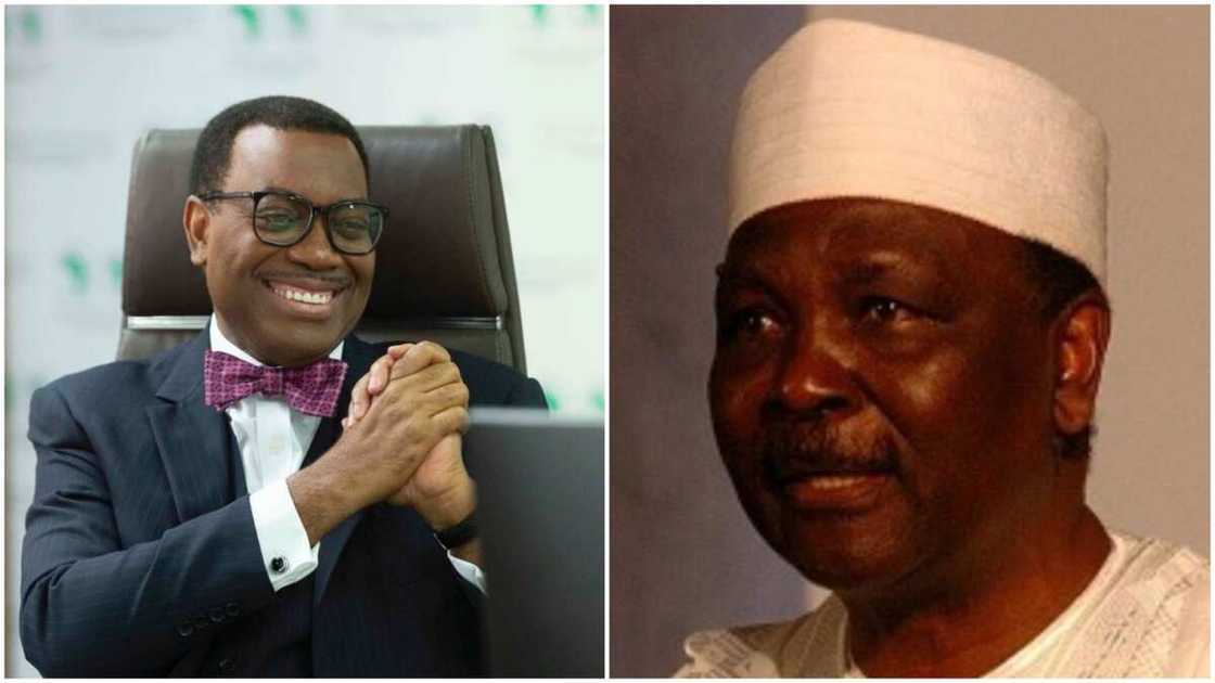 Alleged corruption: AfDB Adesina president reacts to UK lawmaker's claim that Gowon looted half of CBN Alleged corruption: AfDB Adesina president reacts to UK lawmaker's claim that Gowon looted half of CBN