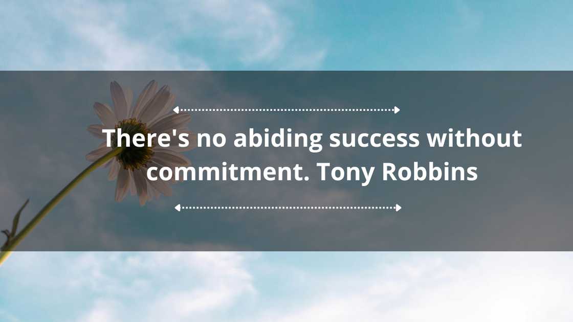 Commitment quotes for work