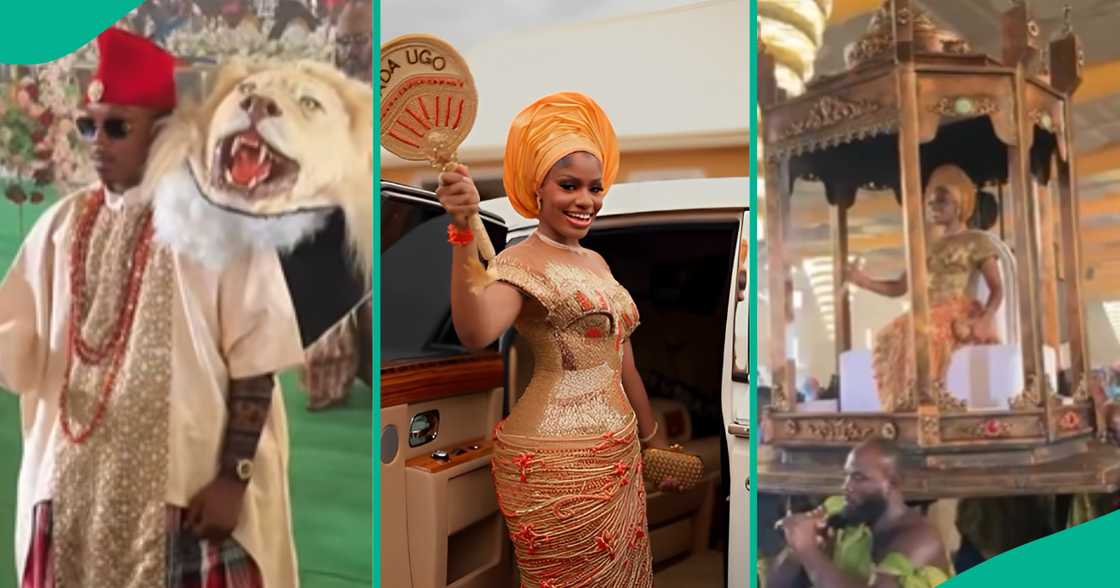 The wedding dress of Kene, daughter of Obi Jackson, the oil magnate, reportedly costs N12 million as the event held in Anambra continues to make headlines. The wedding dress of Kene, daughter of Obi Jackson, the oil magnate, reportedly costs N12 million as the event held in Anambra continues to make headlines.