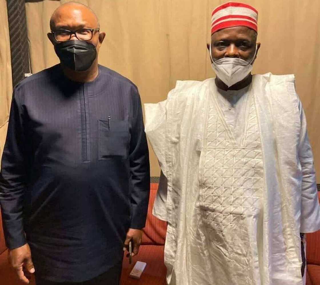 Peter Obi, Rabiu Kwankwaso, 2023 elections, Labour Party, NNPP