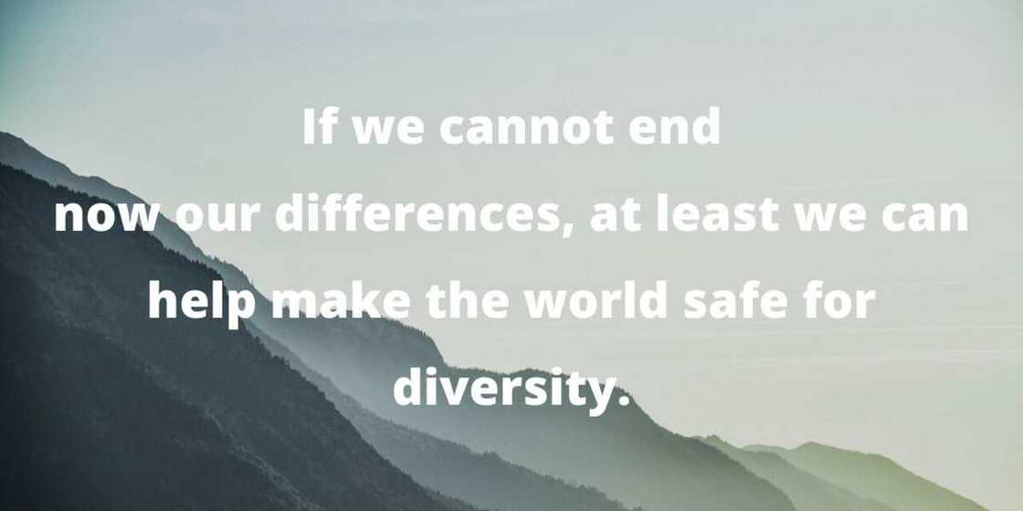 John Kennedy quote John Kennedy quote