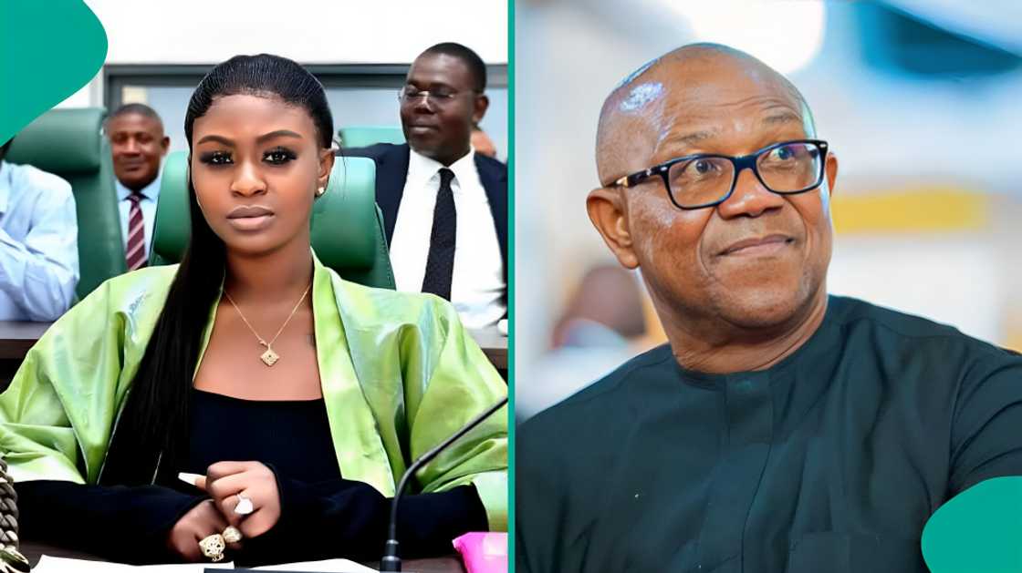 Natasha Osawaru sparks curiosity with Peter Obi video as 2027 election season draws closer Natasha Osawaru sparks curiosity with Peter Obi video as 2027 election season draws closer