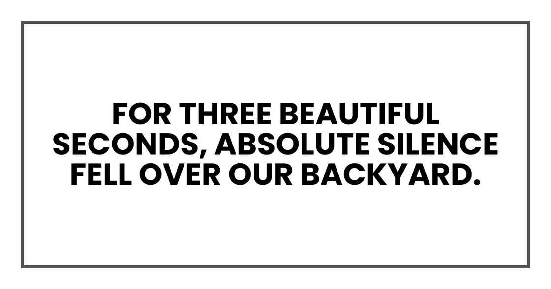 For three beautiful seconds, absolute silence fell over our backyard. For three beautiful seconds, absolute silence fell over our backyard.