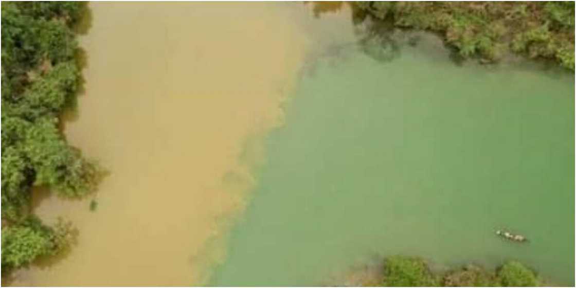 Mystery behind Oguta lake where two 'angry' rives flow parallel each other without mixing up Mystery behind Oguta lake where two 'angry' rives flow parallel each other without mixing up