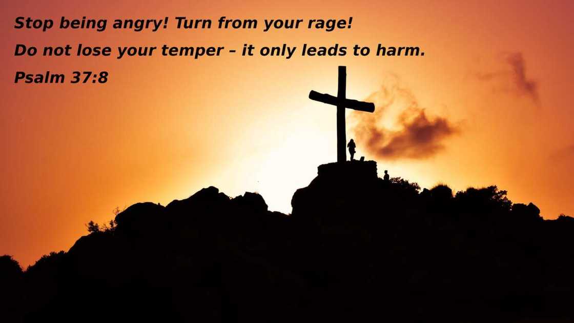 Top 20 Bible verses about anger