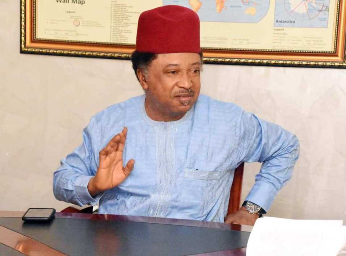 Senator Shehu Sani Reveals What Should Be Done to NYSC Senator Shehu Sani Reveals What Should Be Done to NYSC