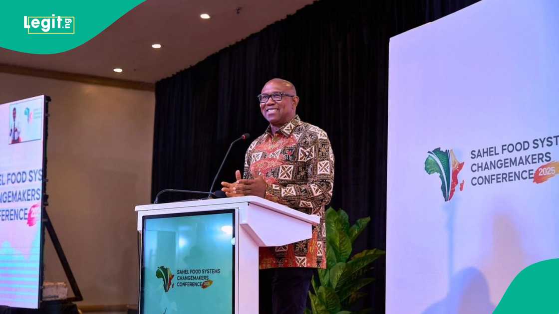 Peter Obi is preparing to join the ADC party with plans for a formal declaration rally in Enugu State on December 31, 2025.