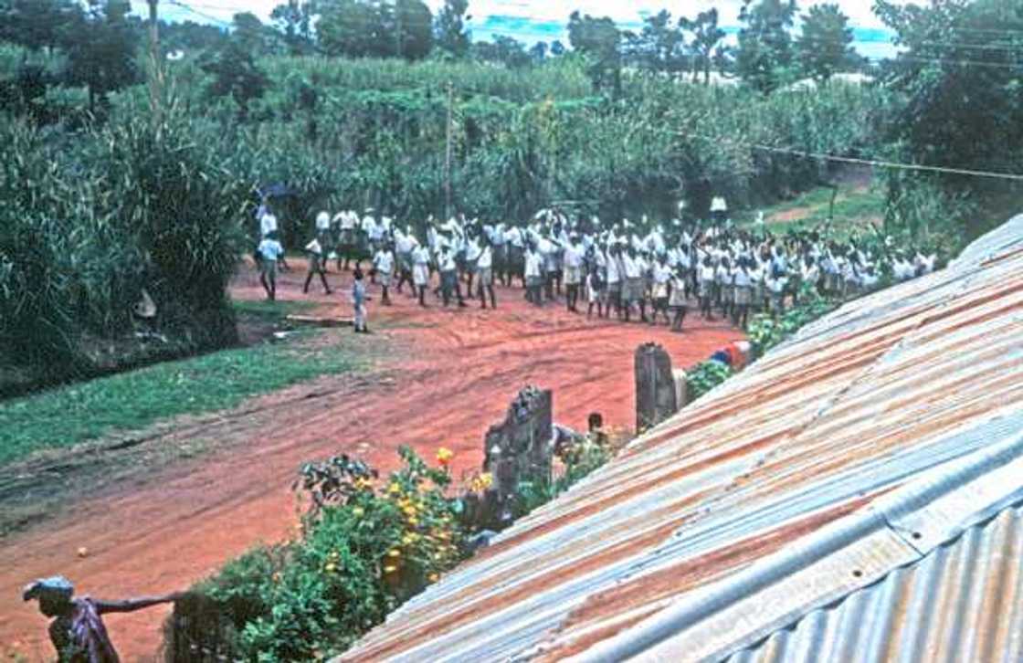 October 1: Amazing photos from Nigeria’s first Independence Day celebration in 1960