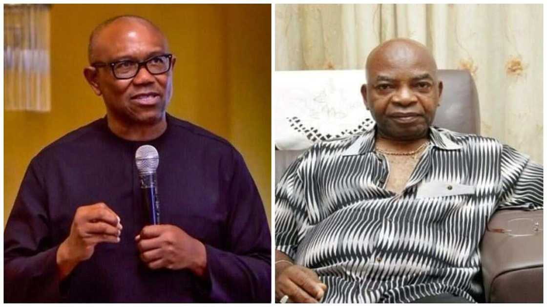 Arthur Eze, Peter Obi, 2023 presidential election, Anambra businessman, Labour Party Arthur Eze, Peter Obi, 2023 presidential election, Anambra businessman, Labour Party
