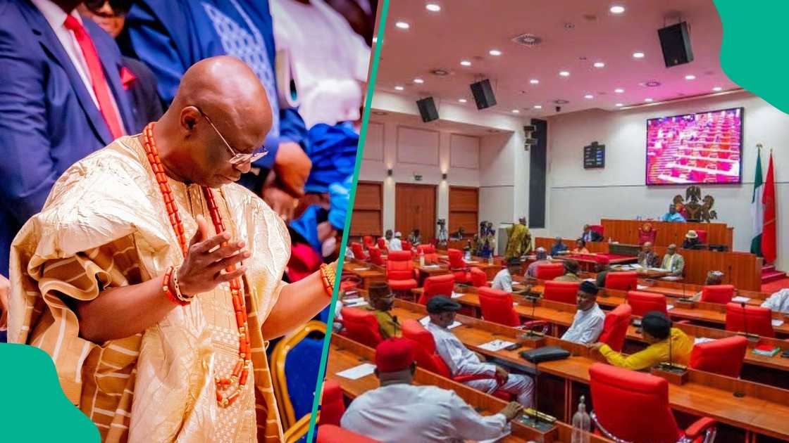 Senate has tackled Pastor Tunde Bakare over his criticism of the national assembly. Senate has tackled Pastor Tunde Bakare over his criticism of the national assembly.