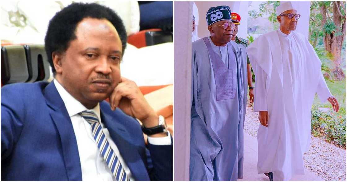 Shehu Sani ya gano shirin Buhari na dage kidaya