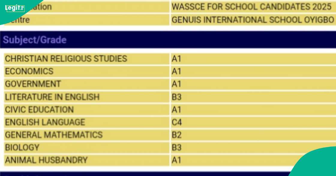 A Nigerian girl who was scared of checking her WAEC result displays her grades online
