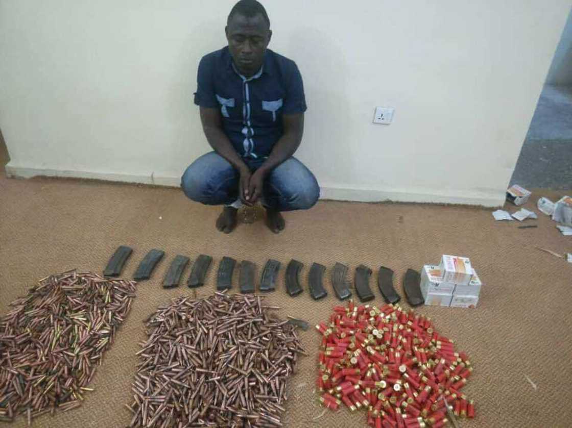 Jami'an yan sanda sun damke yan bindiga 50 a Katsina, sun kwace shanu 220 Jami'an yan sanda sun damke yan bindiga 50 a Katsina, sun kwace shanu 220