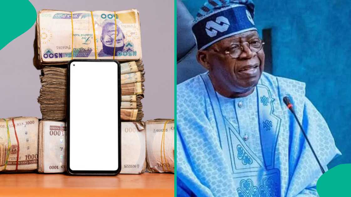 The President Bola Tinubu administration moves to empower young Nigerians with the YouthCred platform that offers loans worth up to N5 million. The President Bola Tinubu administration moves to empower young Nigerians with the YouthCred platform that offers loans worth up to N5 million.