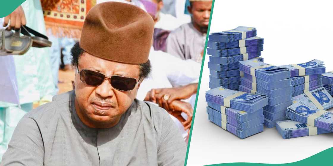 Hardship: Shehu Sani reacts as governors get N570 billion Hardship: Shehu Sani reacts as governors get N570 billion