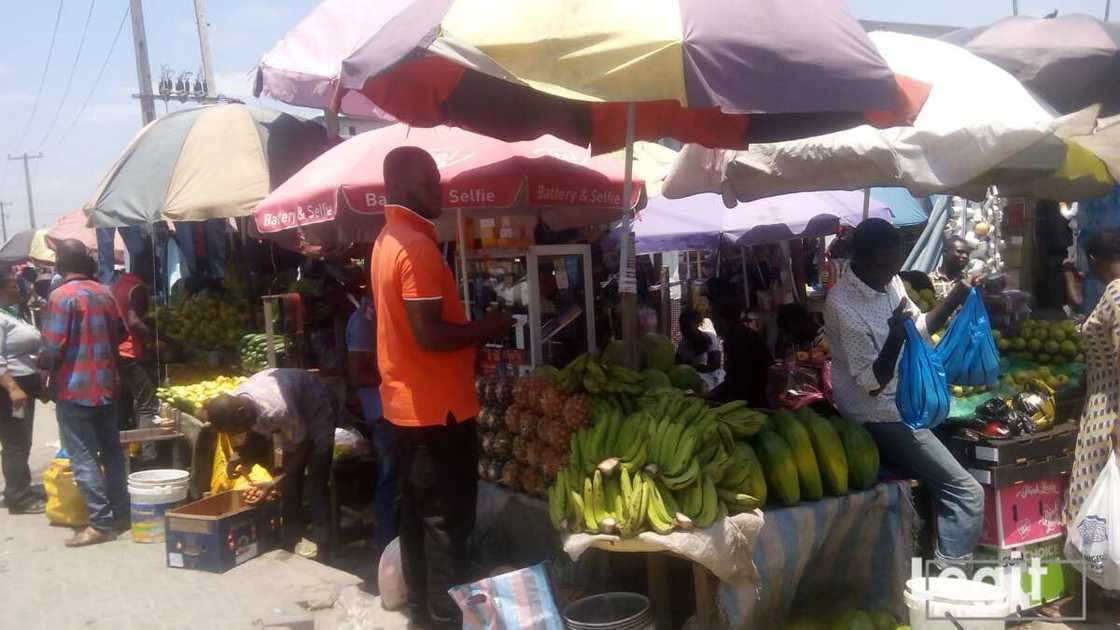 When the fruits are in season, they are fresh and neatly displayed for sale in markets across the state. Photo credit: Esther Odili When the fruits are in season, they are fresh and neatly displayed for sale in markets across the state. Photo credit: Esther Odili