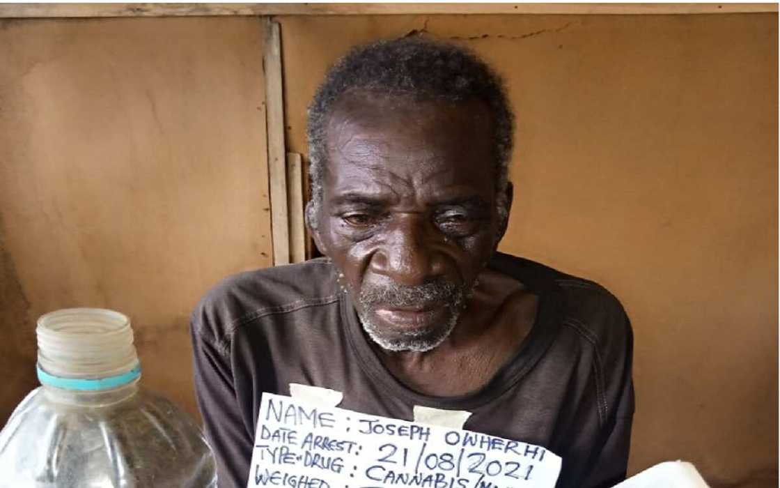 Hoton tsohon soja mai shekaru 96, ƴaƴa 50 da mata takwas da ke safarar wiwi tsawon shekaru 39 a Niger Hoton tsohon soja mai shekaru 96, ƴaƴa 50 da mata takwas da ke safarar wiwi tsawon shekaru 39 a Niger