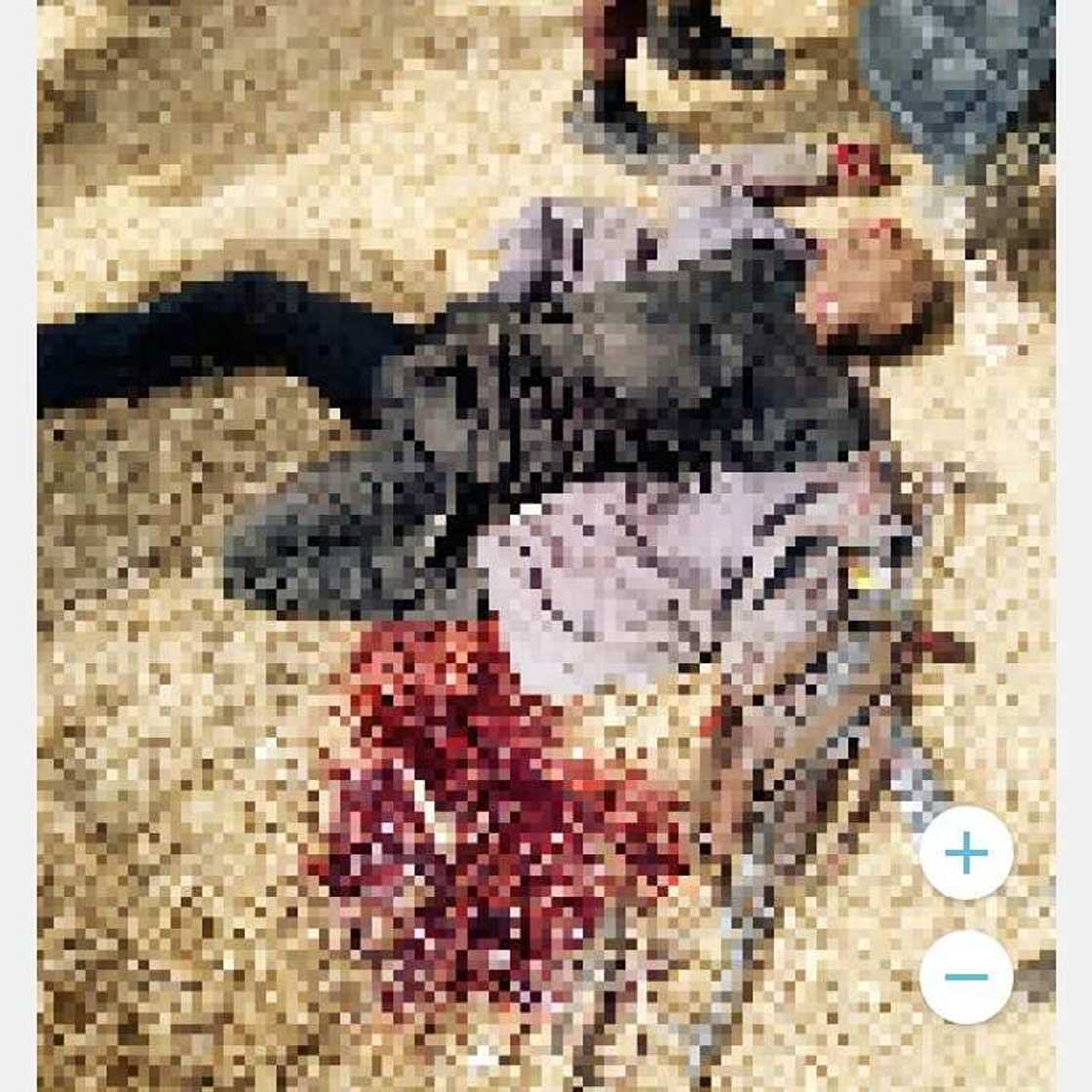 Sojoji sun ragargaji 'yan ta'addar Zamfara, hotunan wadanda suka mutu Sojoji sun ragargaji 'yan ta'addar Zamfara, hotunan wadanda suka mutu